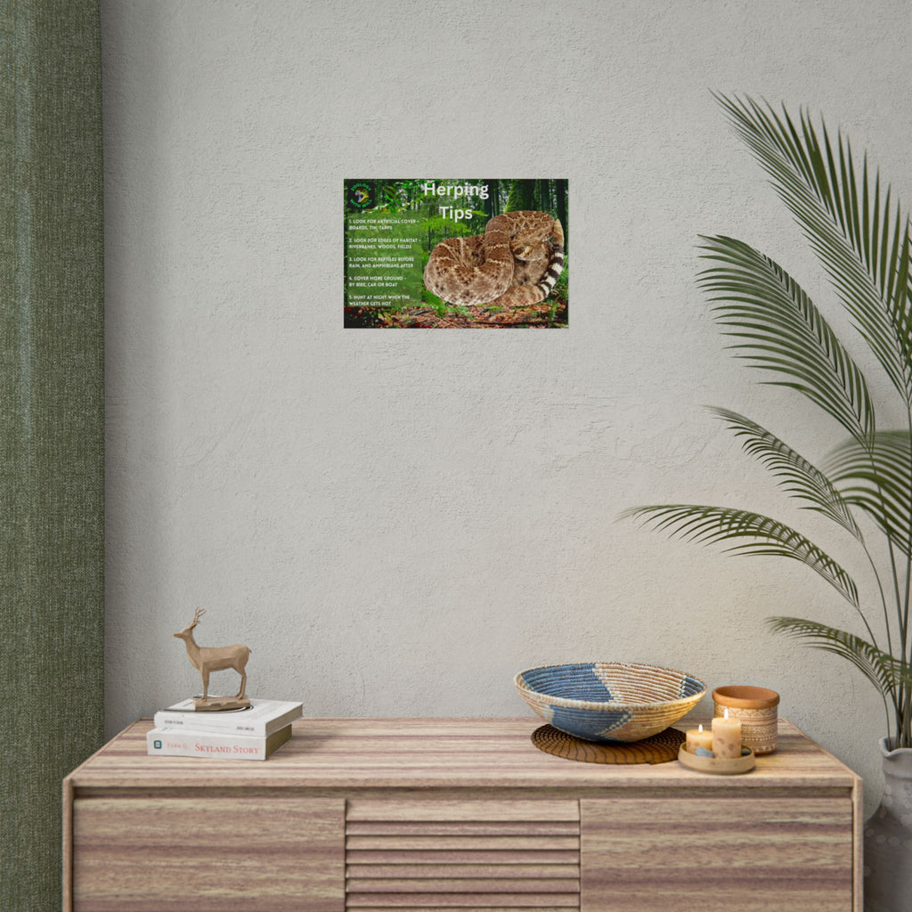 Herping Tips Poster: Western Diamondback Rattlesnake (18×12)