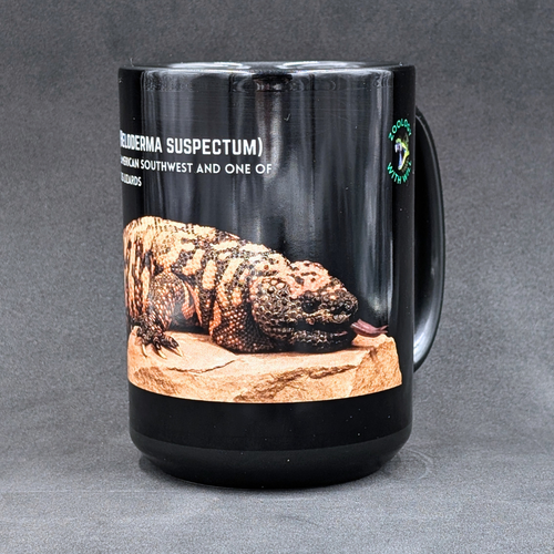 Gila Monster Mug (Heloderma suspectum) with Herping Tips (15oz)
