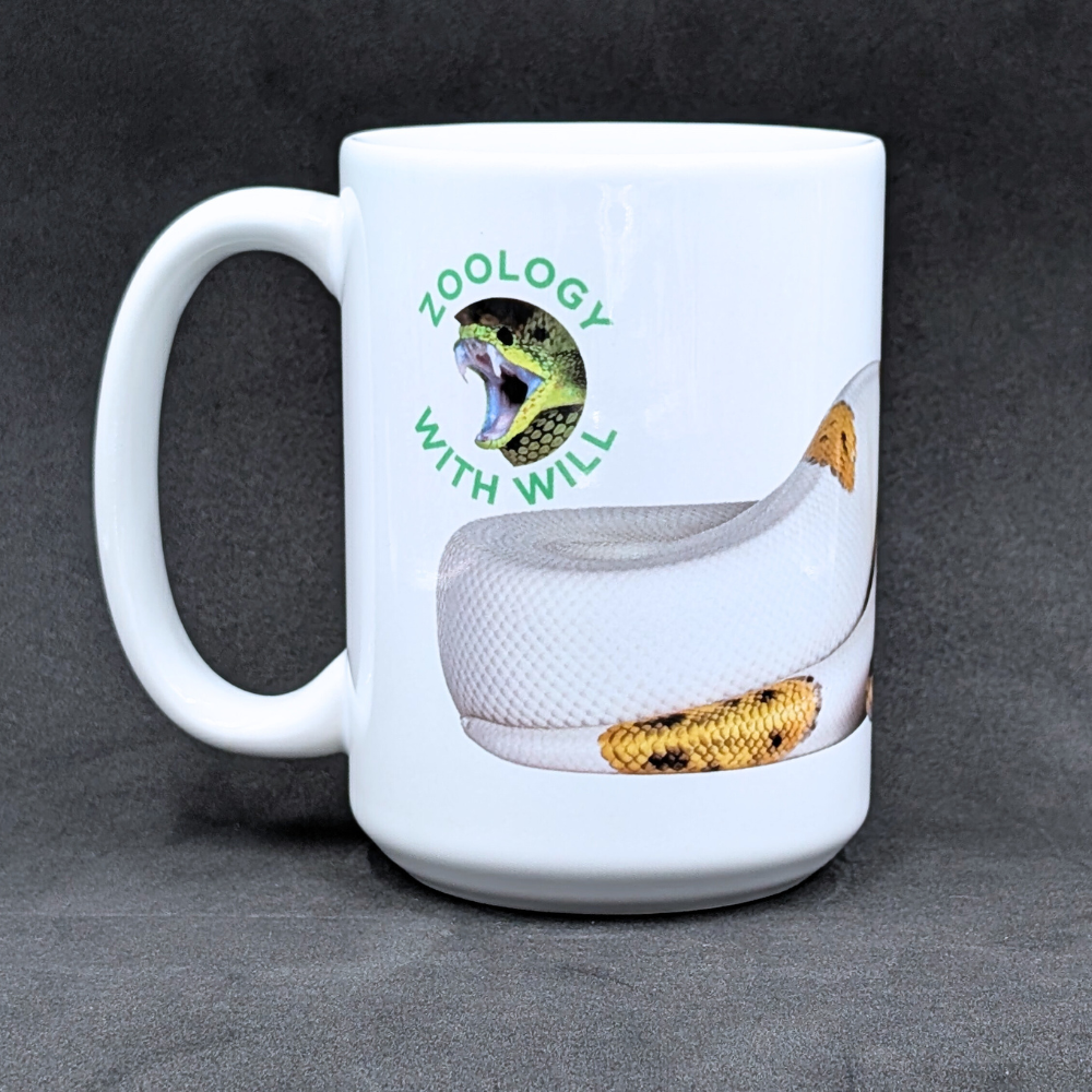 Piebald Ball Python Mug (15oz) | Zoology with Will