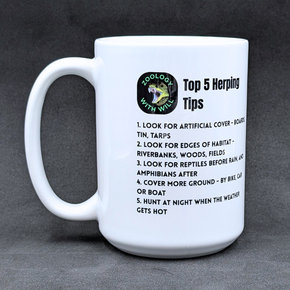 Western Diamondback Rattlesnake Mug with Herping Tips (15oz)